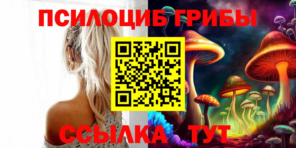 Галлюциногенные грибы Magic Shrooms Торжок