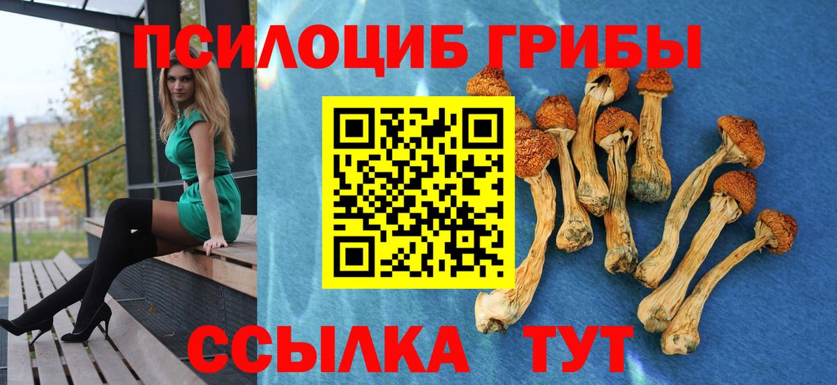 Галлюциногенные грибы Psilocybe  Галлюциногенные грибы Psilocybine cubensis  Вход с VPN  Торжок 
